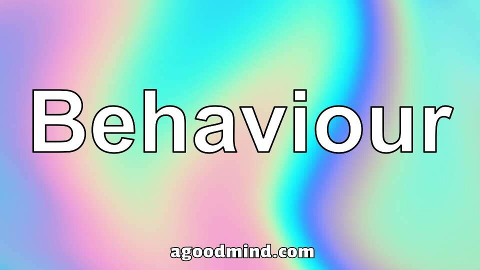 Behaviour – A Good Mind